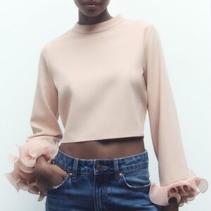Zara Pleated Ruffle Sleeve Top